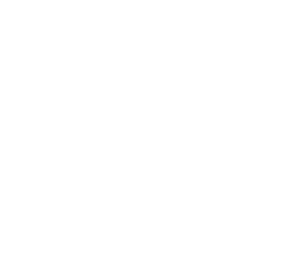 Gemini Crewing LLP